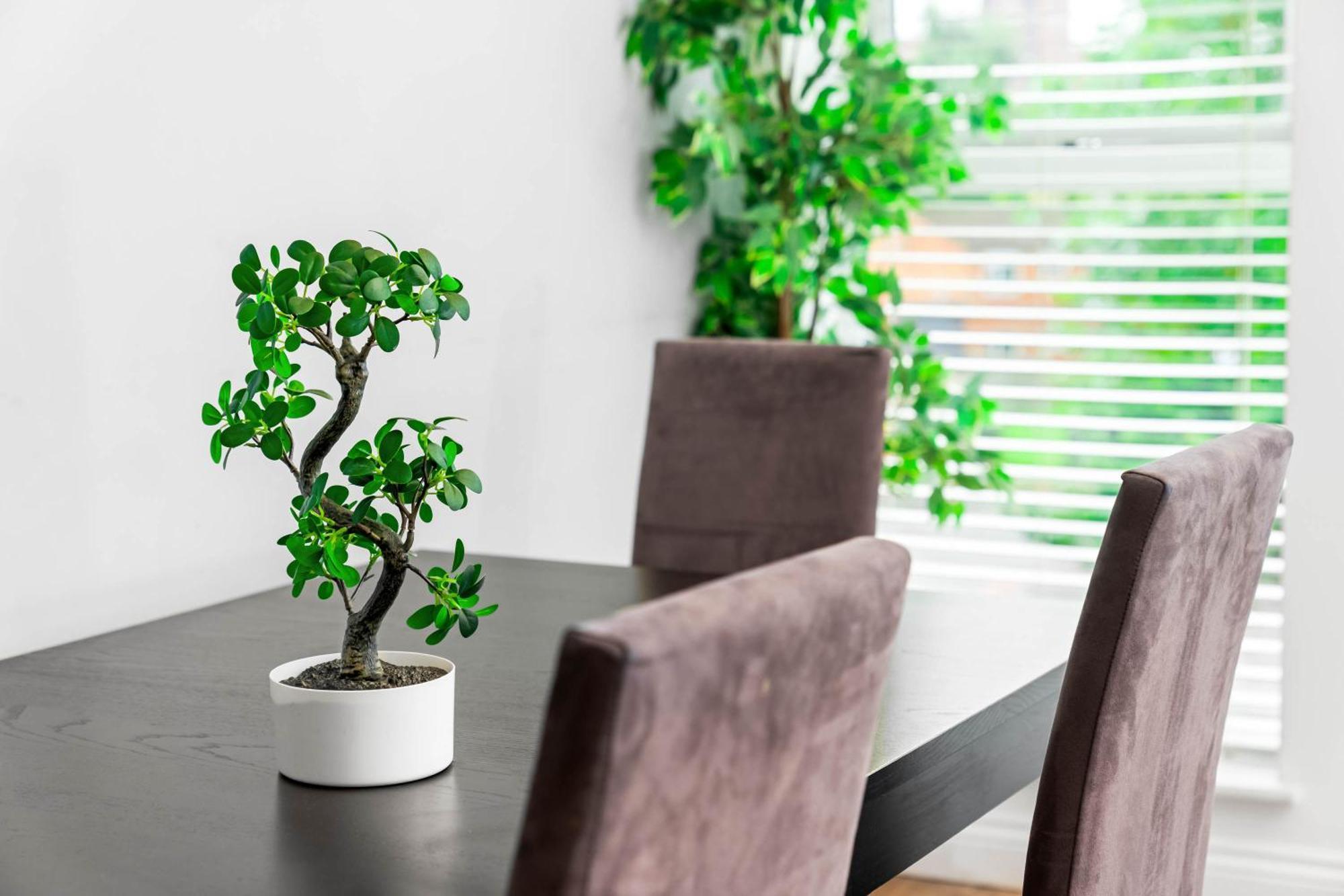 Apartment Luxury Two Bedroom - Secure Parking - Centre - 195m